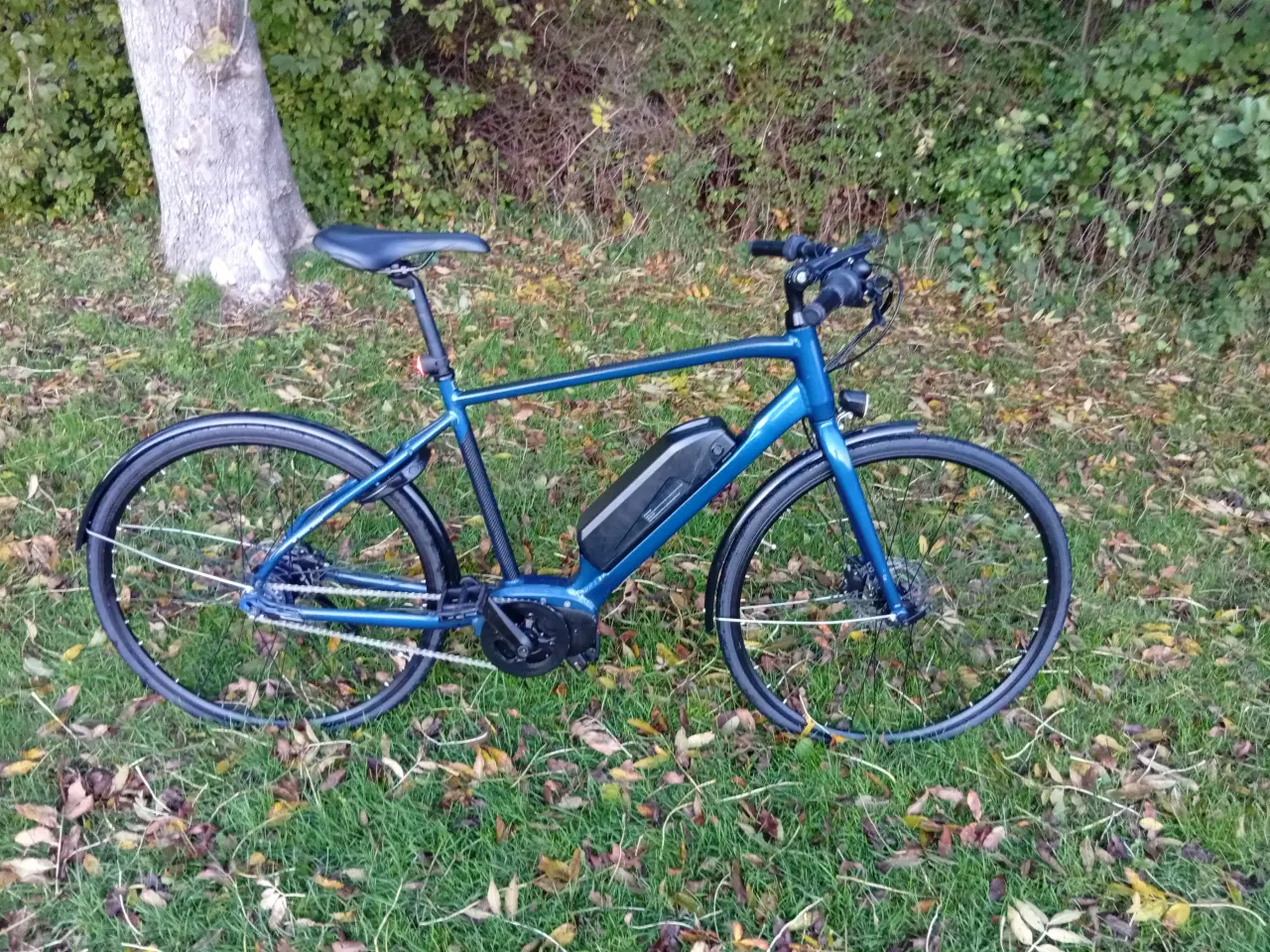 Billede 1 - Mustang Elcykel med centermotor fra 2024/Stort Bat