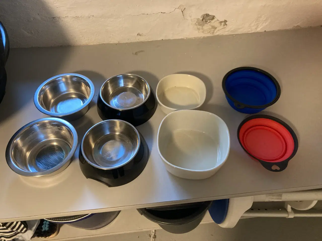 Billede 2 - Udstyr til hund