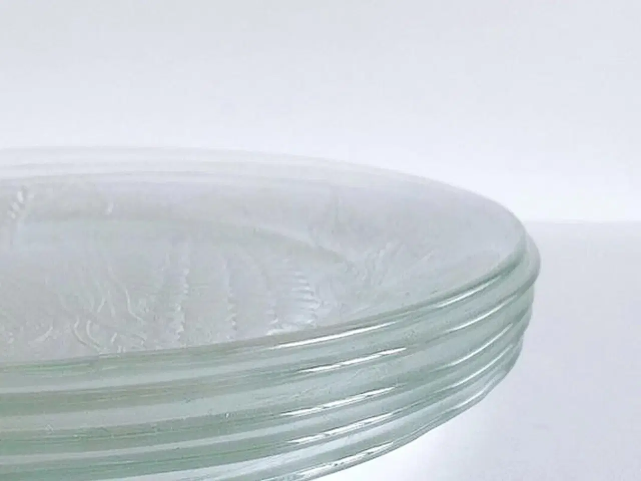 Billede 2 - Glastallerkener med majskolber, 5 stk samlet