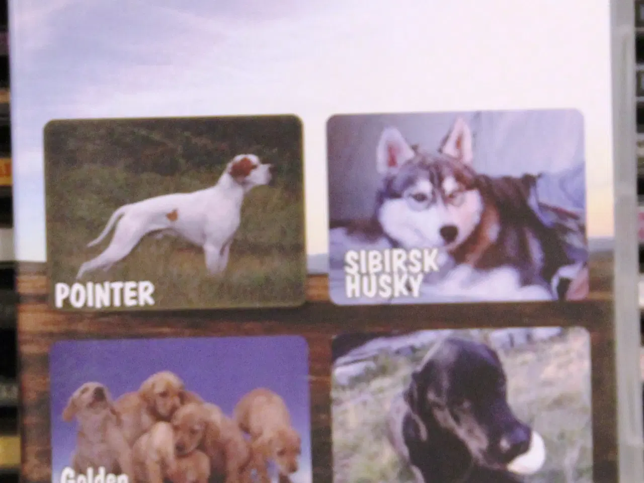 Billede 17 - DVD-film til salg