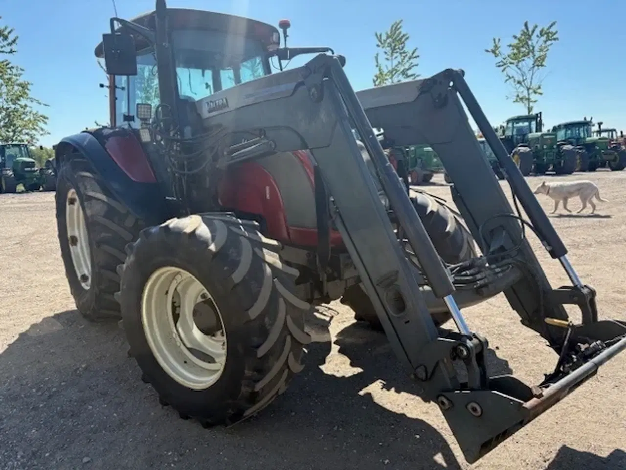 Billede 4 - Valtra C130 M. ÅLØ FRONTLÆSSER
