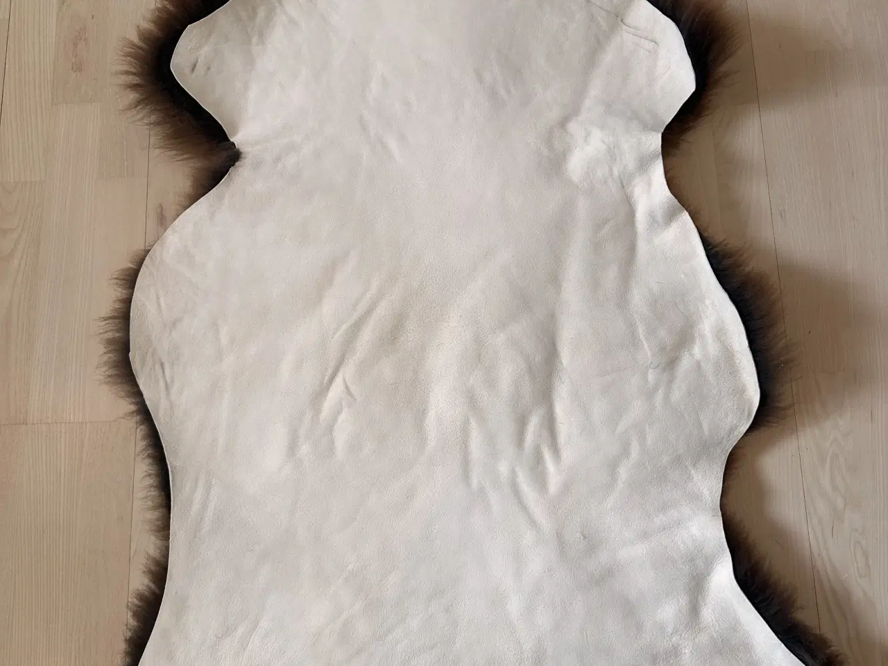 Billede 3 - Lammeskind 