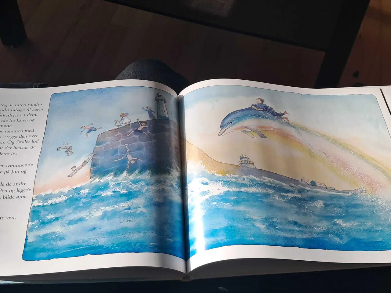 Billede 3 - Drengen og delfinen 