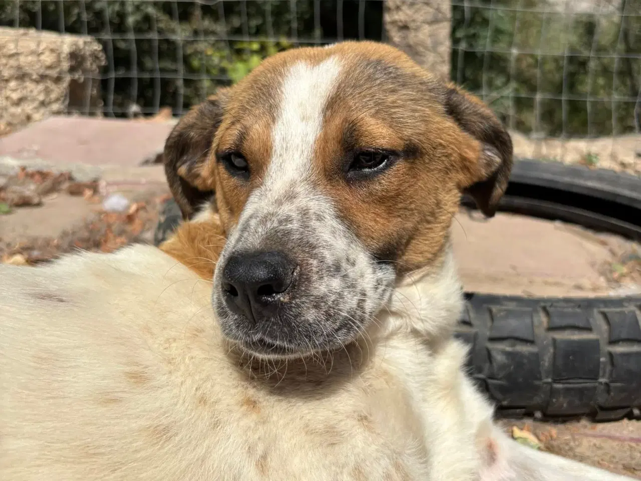 Billede 9 - Søde Virgin søger 4ever familie 🩷