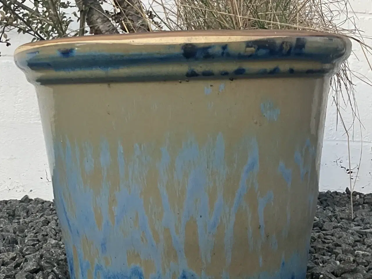 Billede 2 - Stor udekrukke inkl ukendt beplantning 