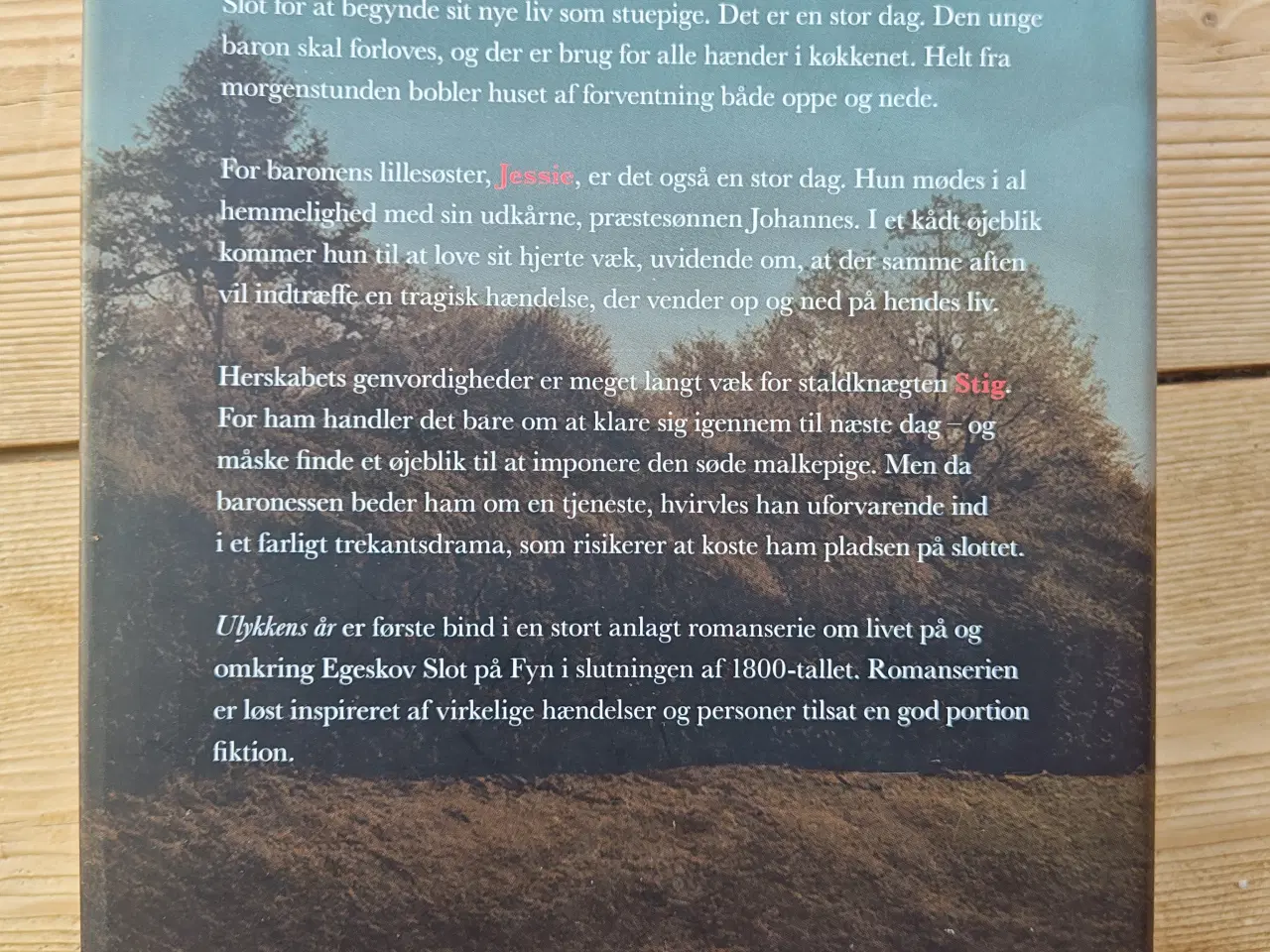 Billede 2 - Ulykkens År EGESKOV BOG Roman af Anne-Grethe 