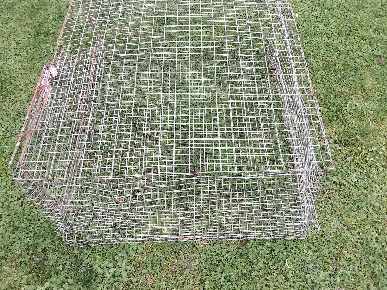Billede 2 - ståltrådsbur