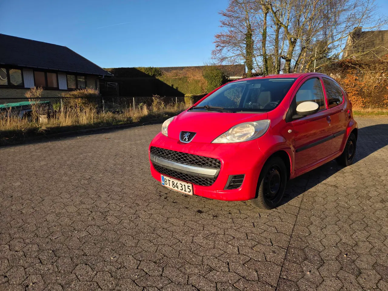 Billede 14 - ØKOGRIS MED PLADER OG NYSYNET 