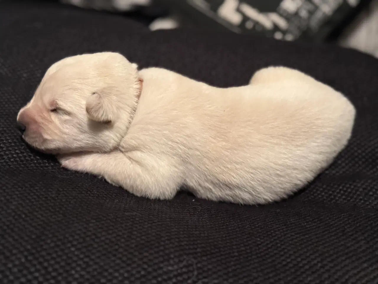 Billede 8 - Mangler du en blød familie julegave