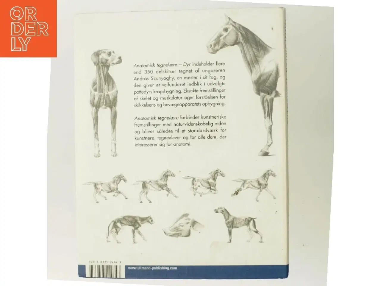 Billede 3 - Anatomisk tegnelære : Dyr af Gyrgy Fehér (Bog)