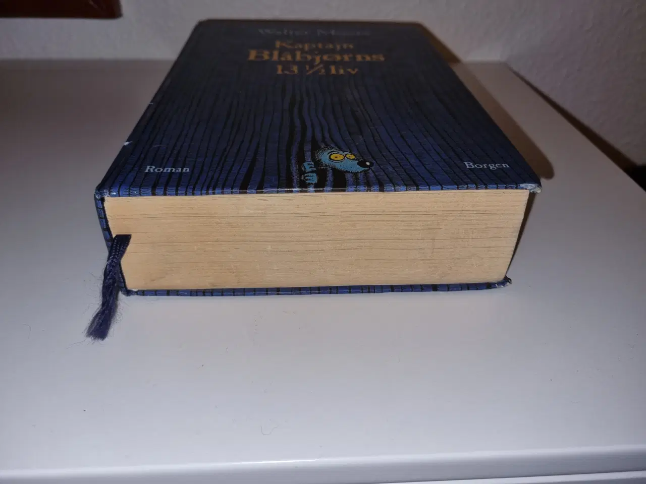 Billede 2 - Walter Moers - Kaptajn Blåbjørns 13 1/2 liv