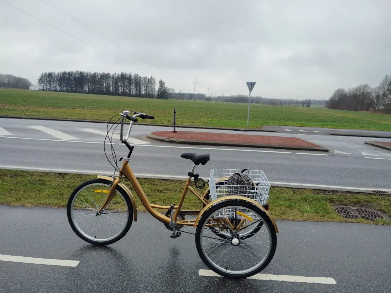 Billede 4 - Trehjulet Handicap cykel