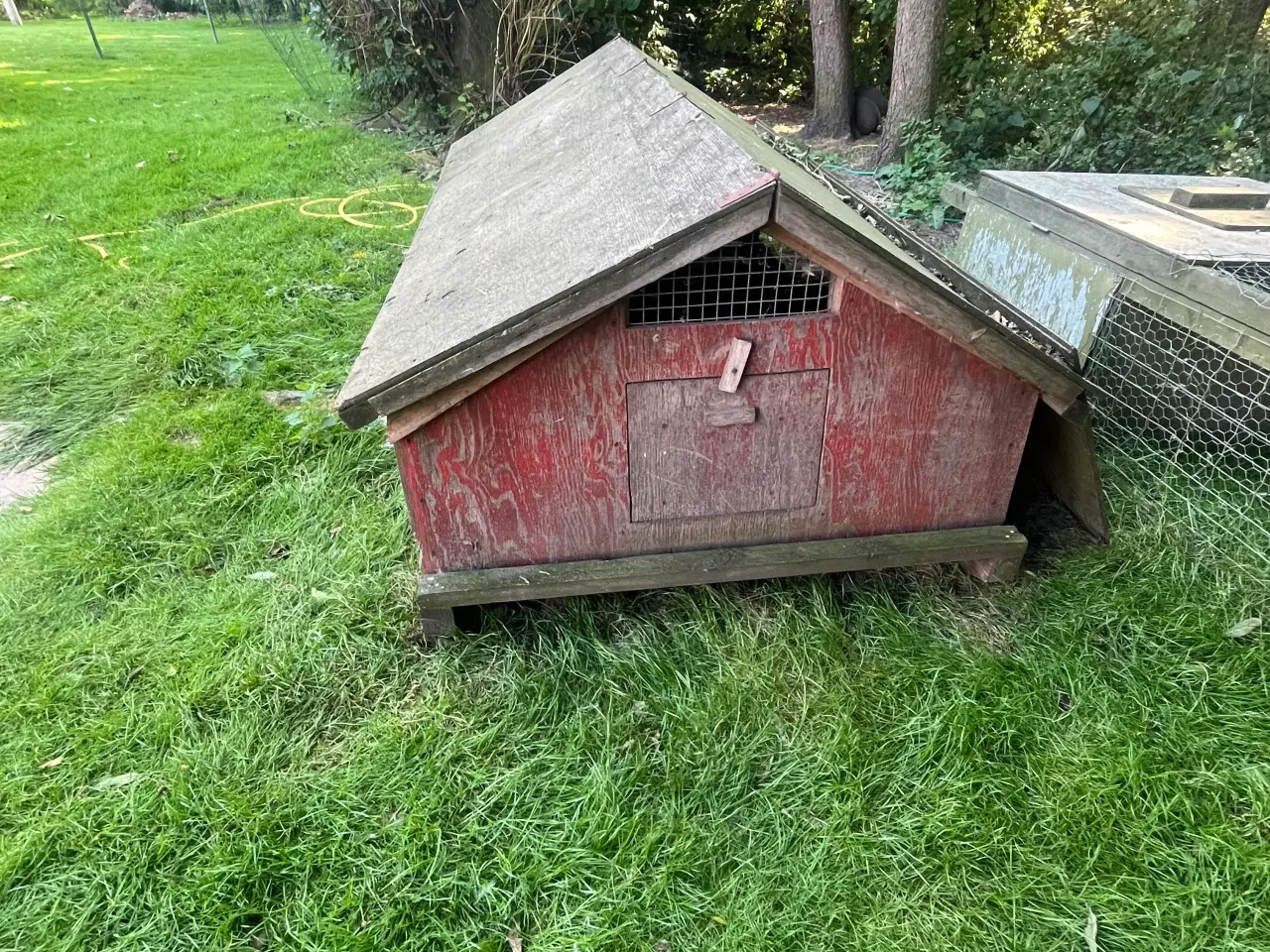 Billede 1 - Kyllinge hus