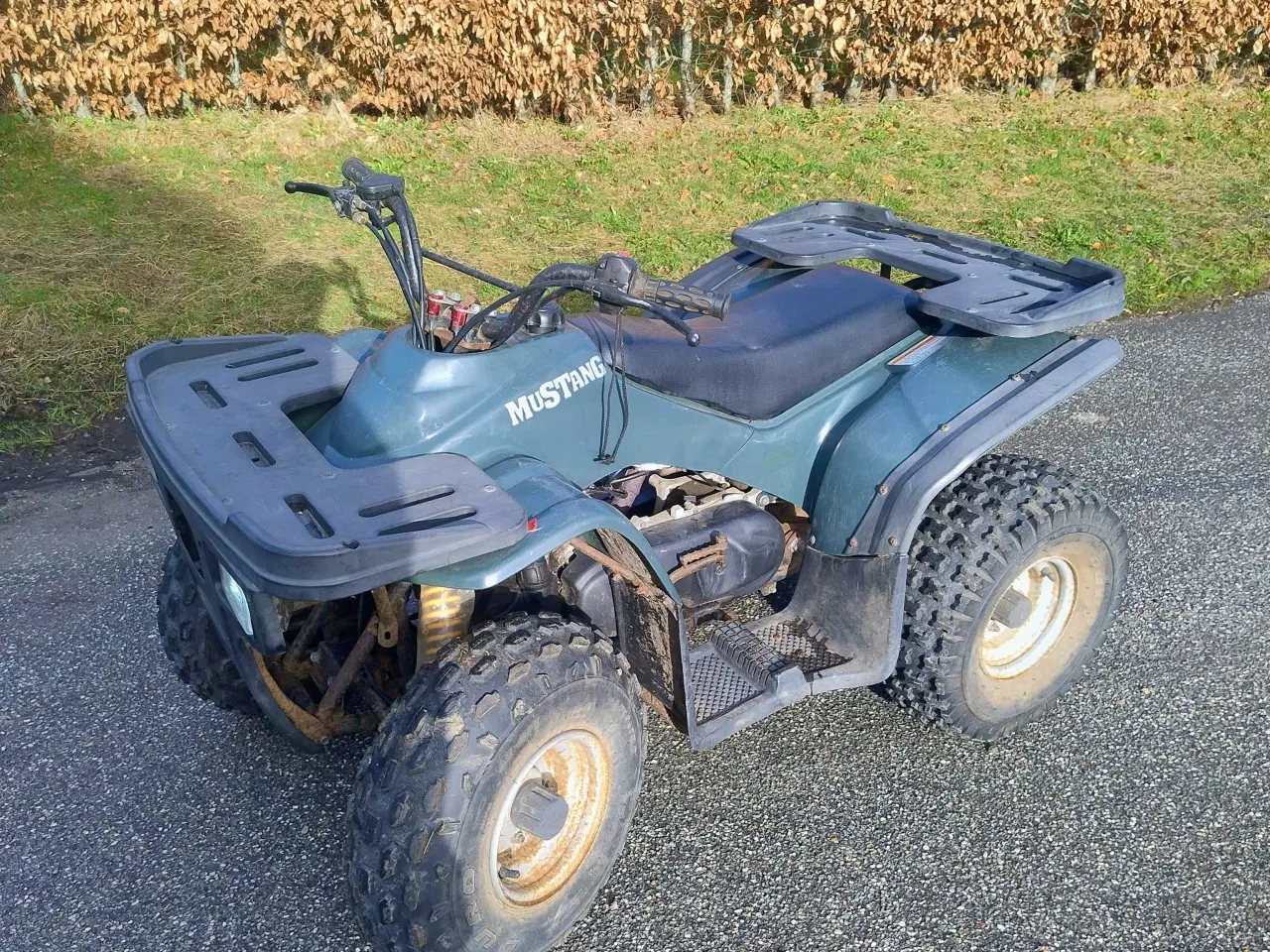Billede 1 - SMC Mustang 100 ccm ATV 