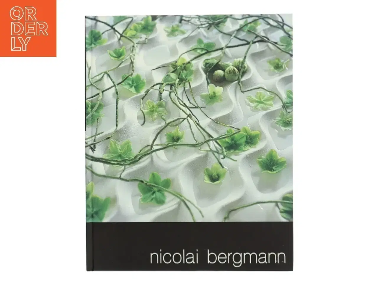 Billede 1 - nicolai bergmann af nicolai bergmann (Bog)