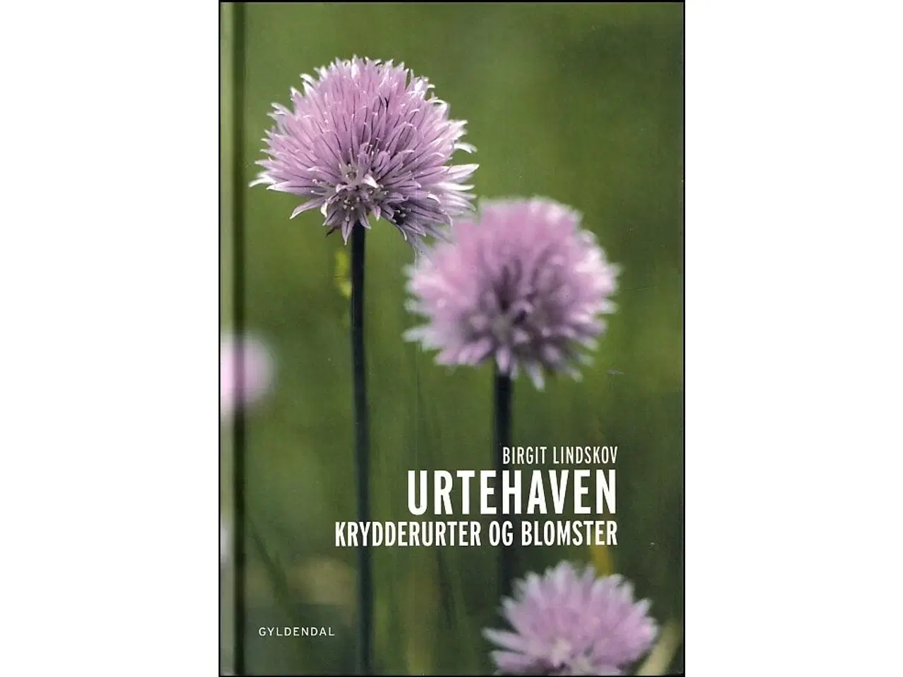 Billede 1 - Urtehaven - Krydderurter og blomster