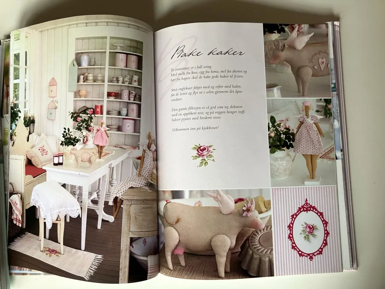 Billede 5 - Tildas landsted. Av Tone Finnanger (Norsk)