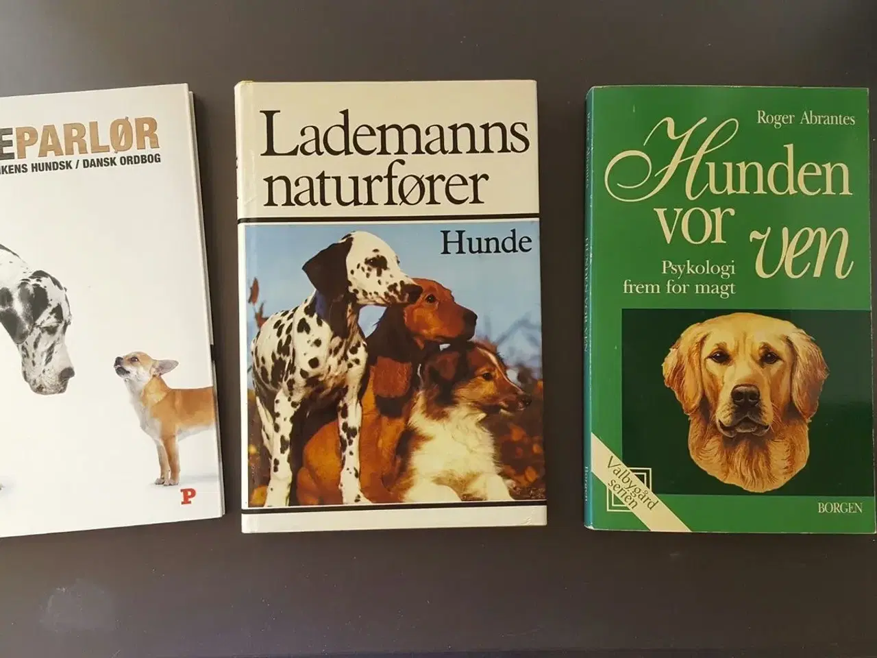 Billede 2 - Forskellige dyrebøger sælges