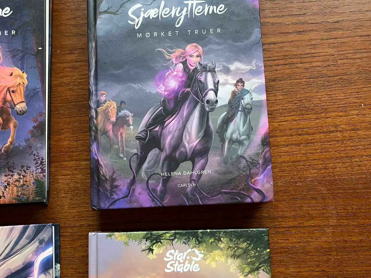 Billede 4 - Heste bøger