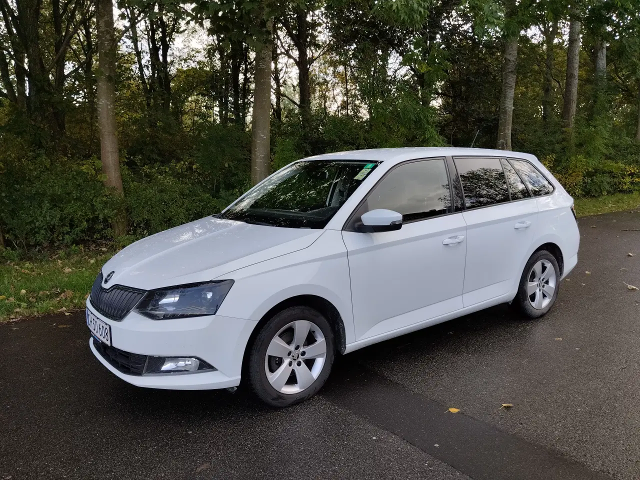 Billede 4 - Skoda Fabia 1,4 TDI 2015 