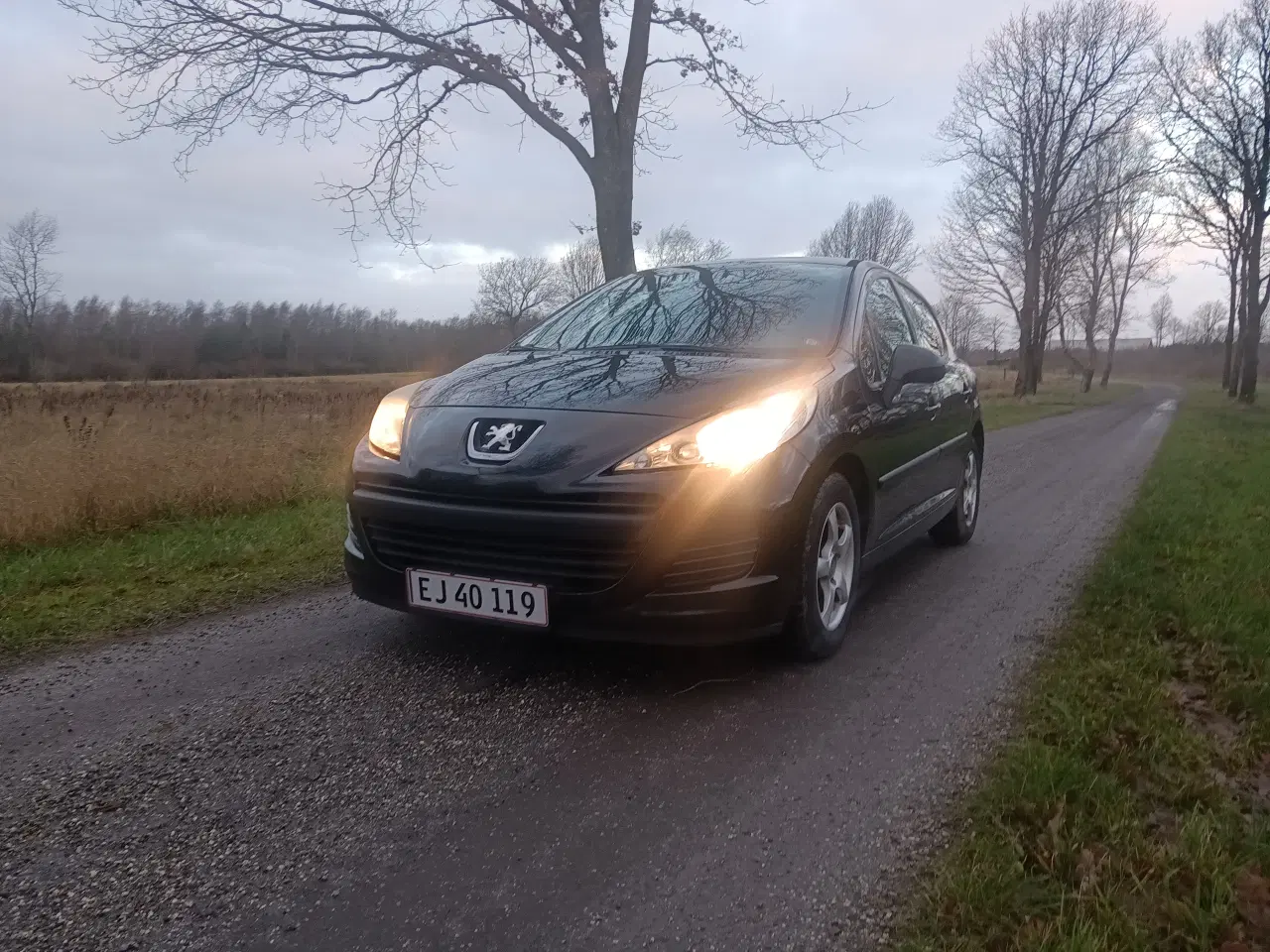 Billede 1 - Peugeot 207