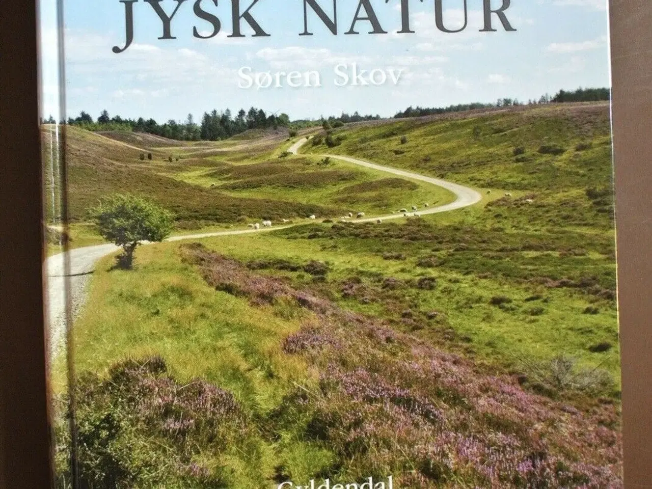 Billede 1 - jysk natur, af søren skov