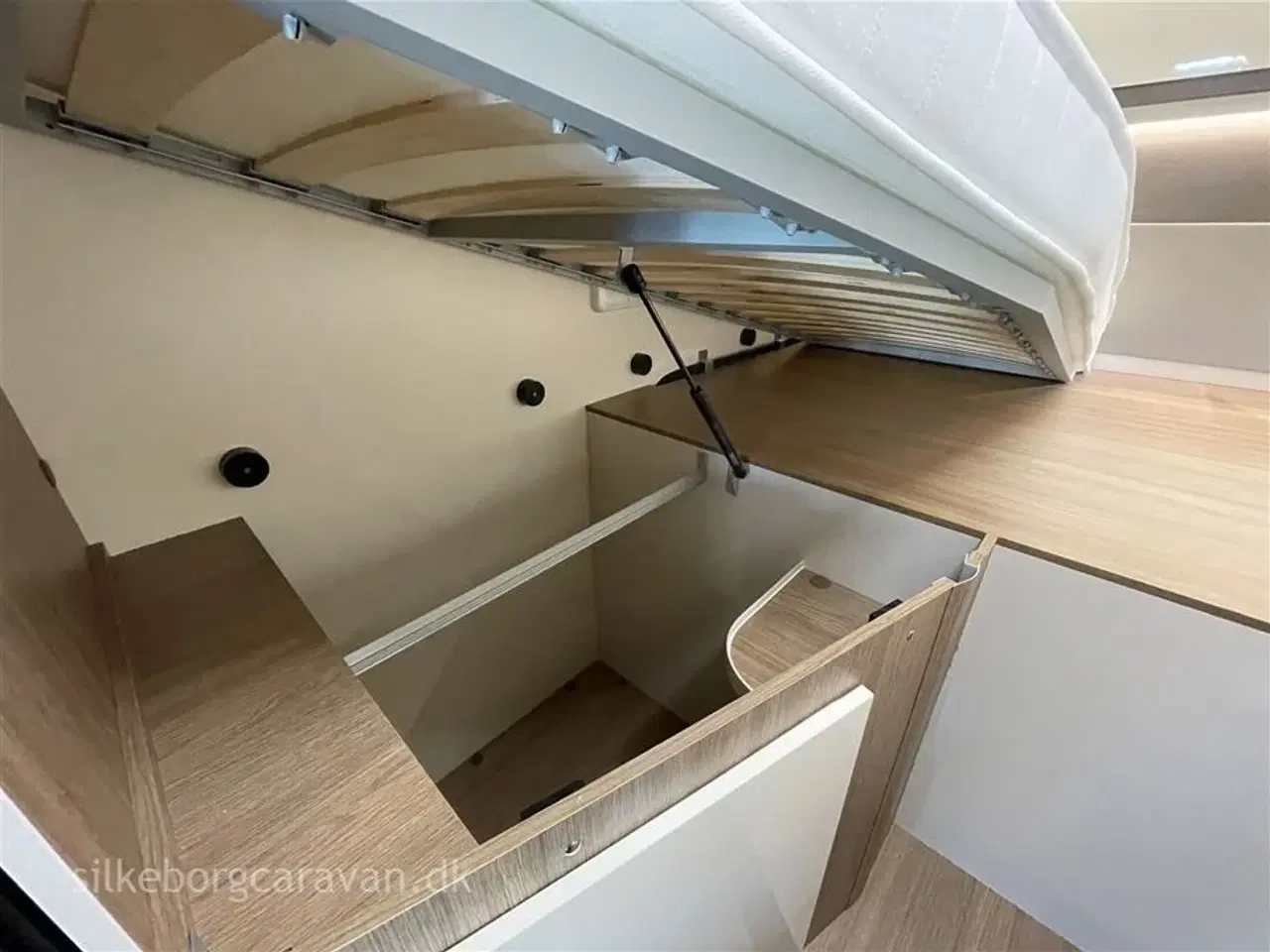 Billede 14 - 2026 - Elnagh Baron