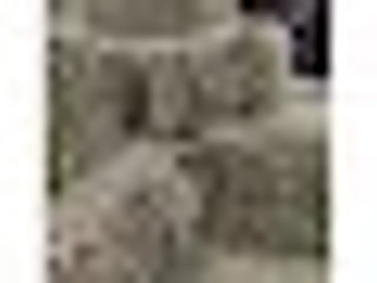 Billede 1 - Hø i småballer