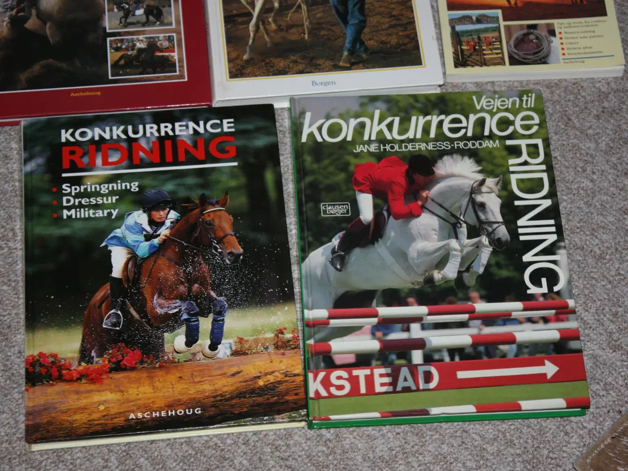 Billede 3 - Politikens ridebog