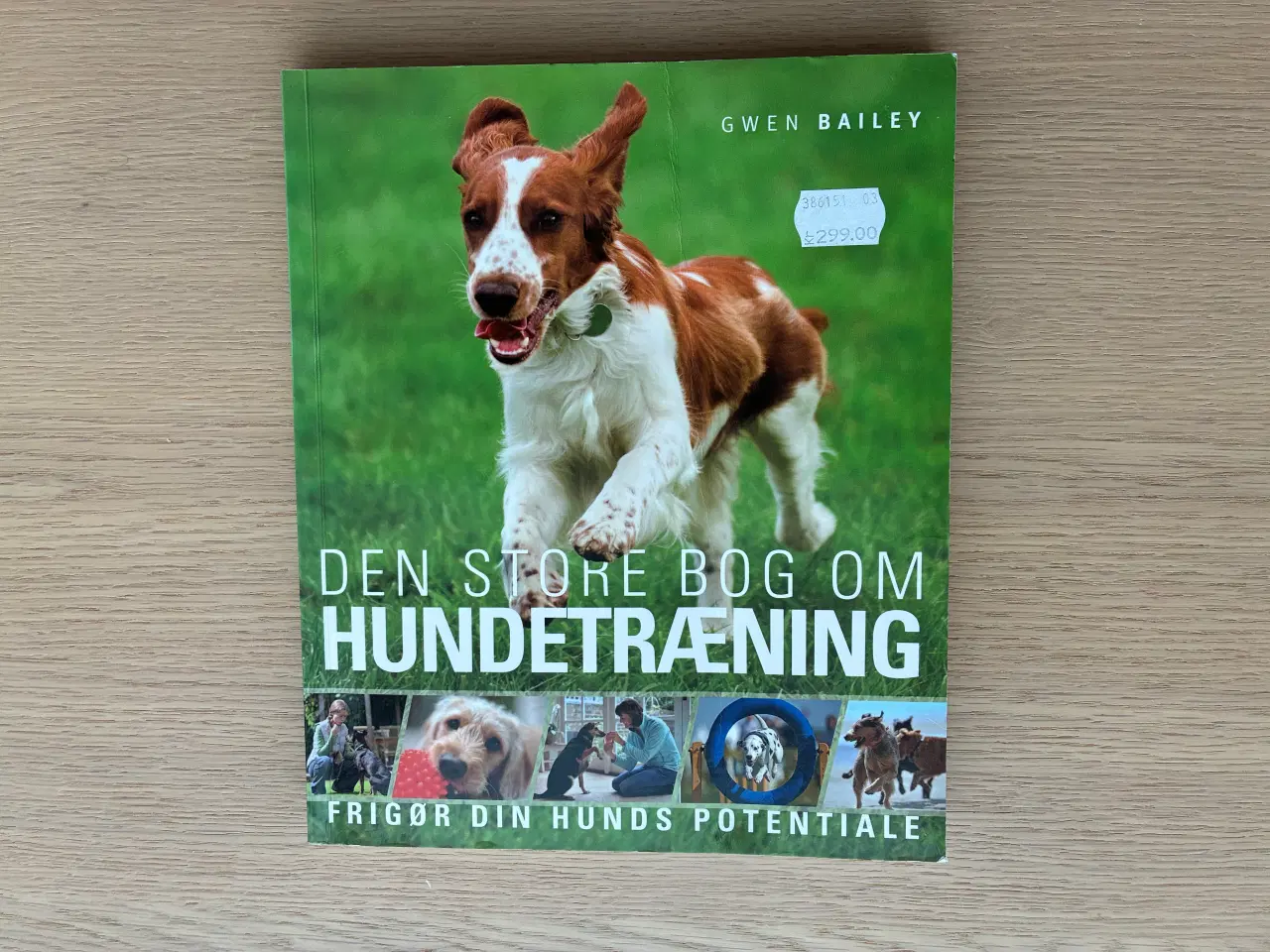 Billede 1 - Den Store Bog om Hundetræning