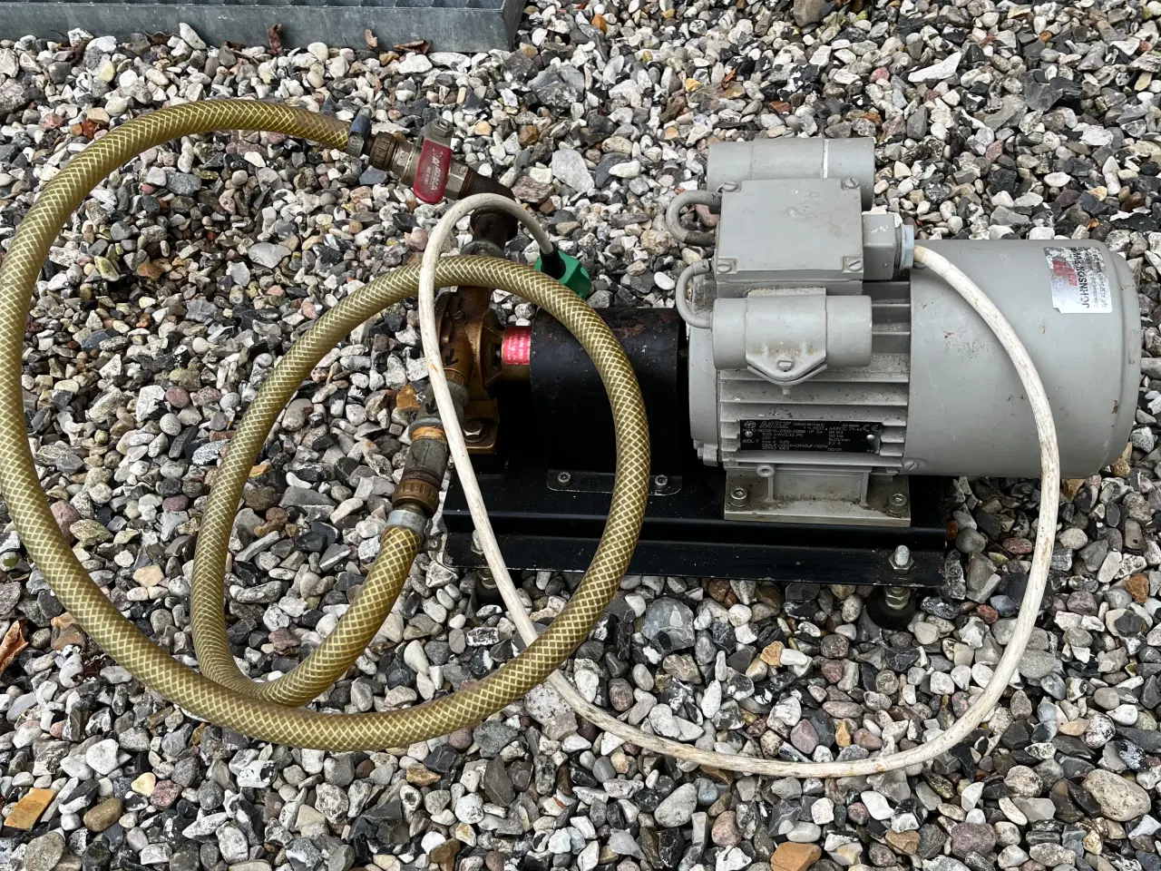 Billede 3 - Impeller pumpe for dieselolie eller vand