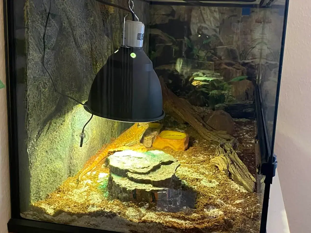 Billede 2 - Terrarium