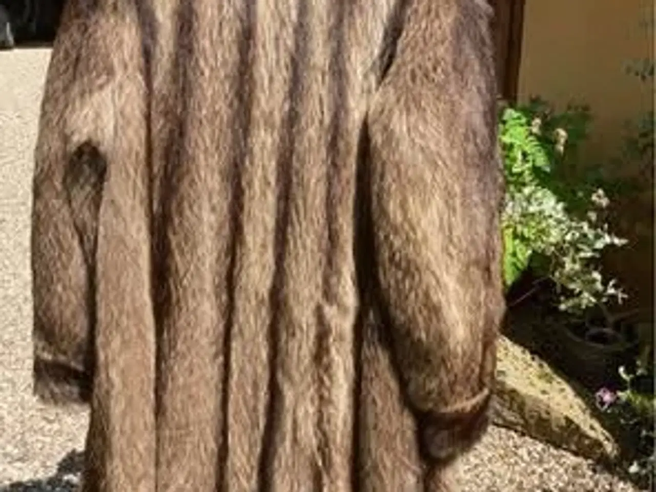 Billede 2 - Pels i vaskebjørn