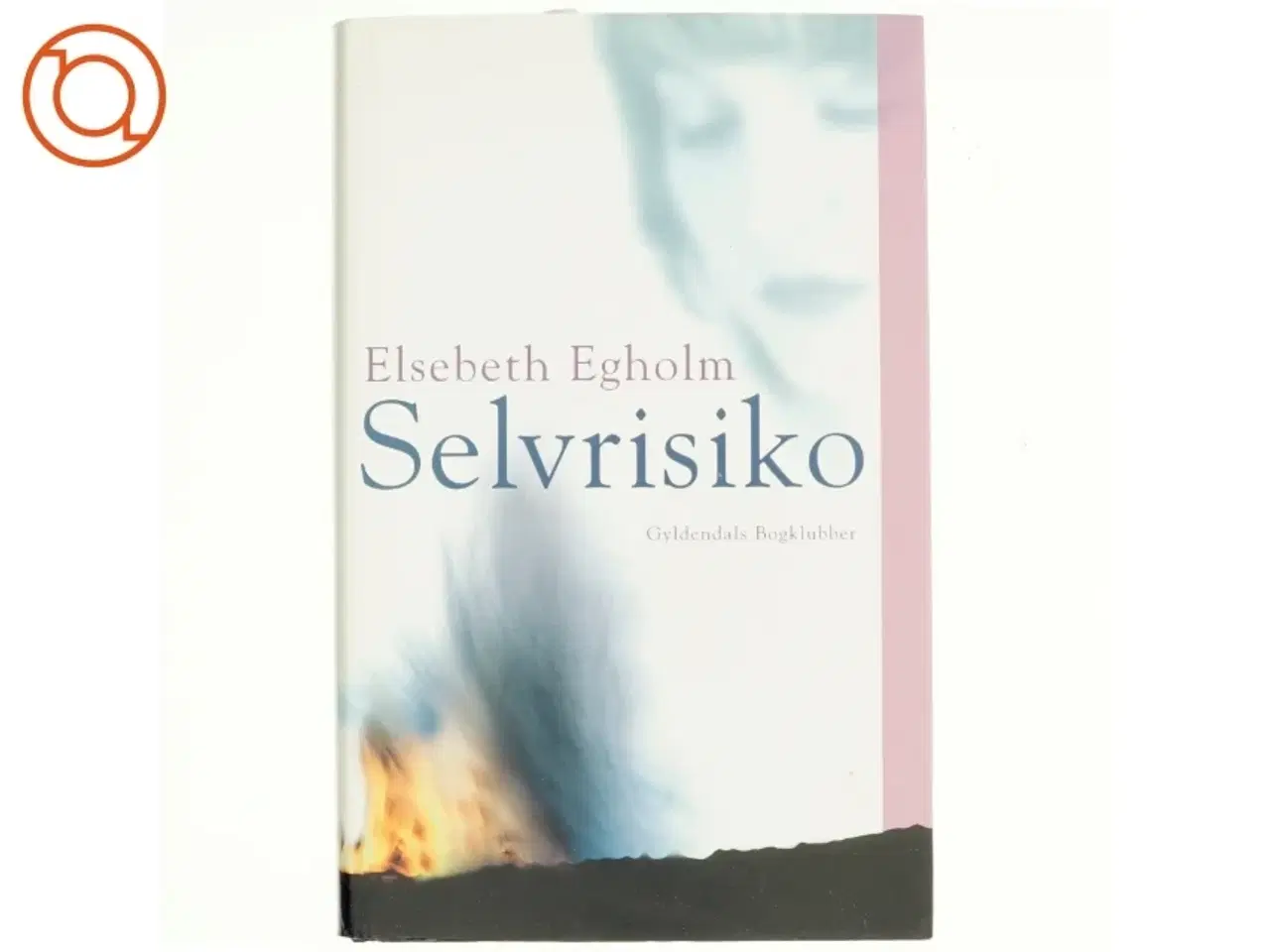 Billede 1 - Selvrisiko af Elsebeth Egholm (Bog)