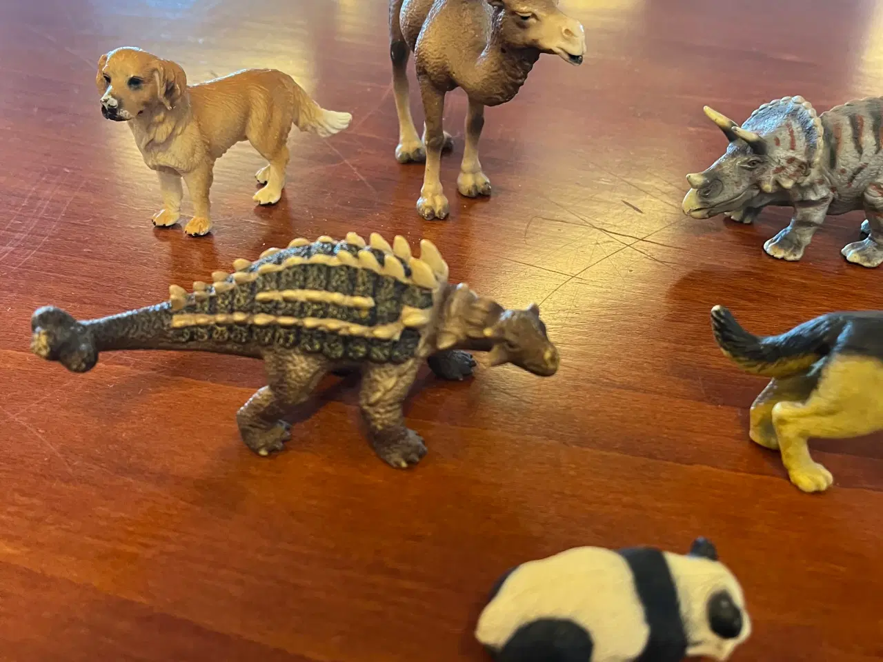 Billede 2 - Forskellige dyr