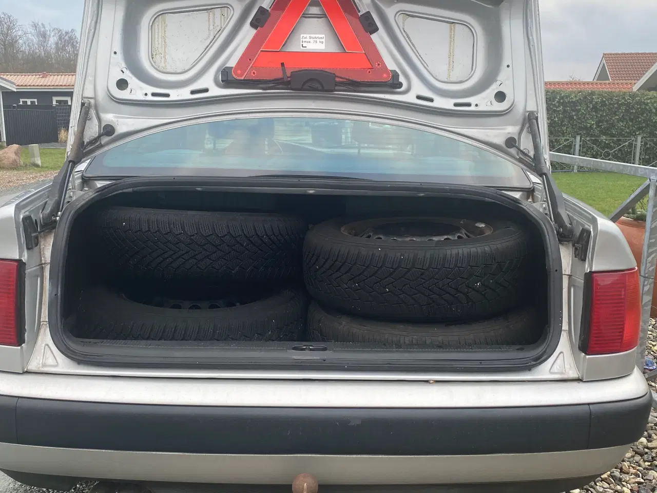 Billede 7 - Nysynet veteran