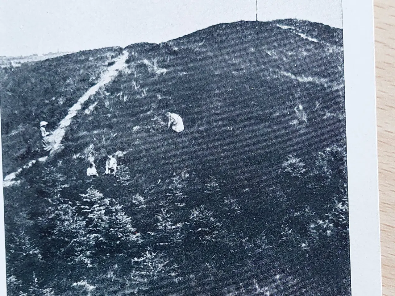 Billede 3 - Lot gamle kort fra Sønderjylland