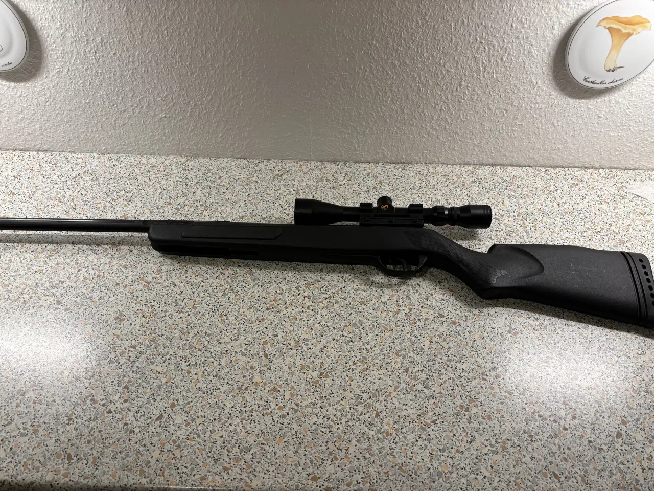 Billede 5 - Gamo Nitro 17 luftegevær m/kikkert, 4,5mm