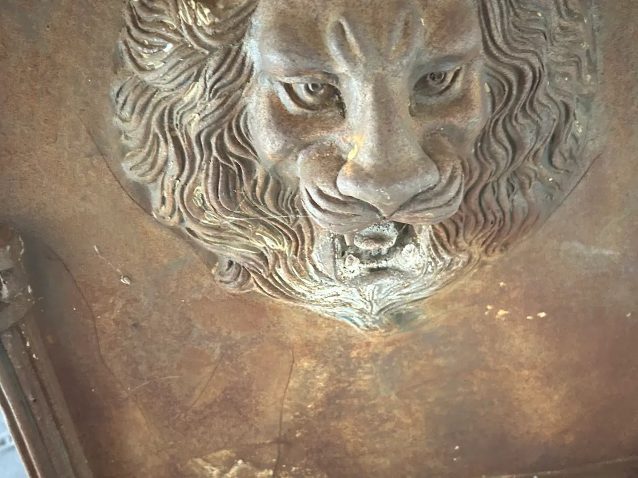 Billede 4 - Løvehovede 