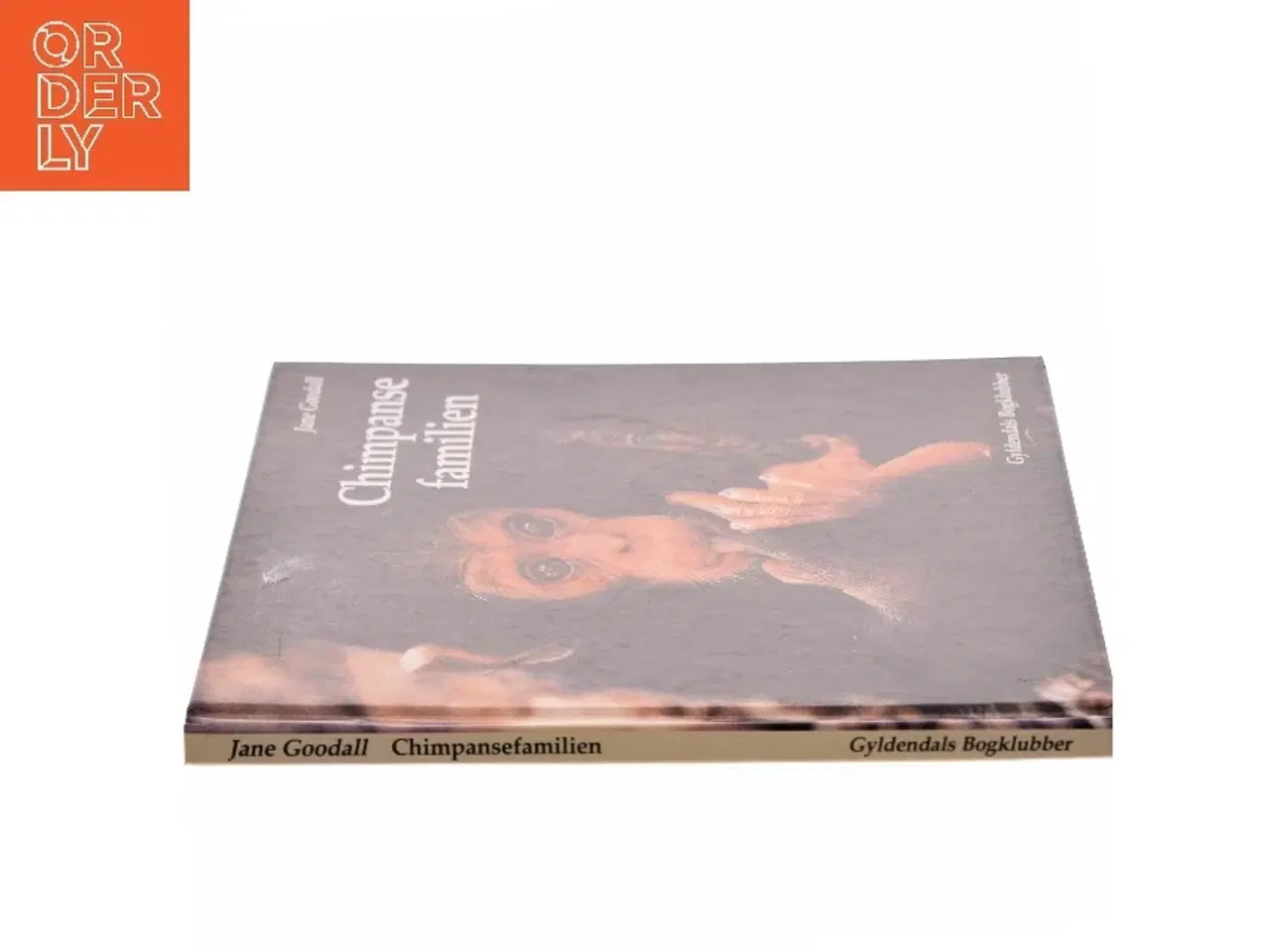 Billede 2 - Chimpansefamilien af Jane Goodall (Bog)