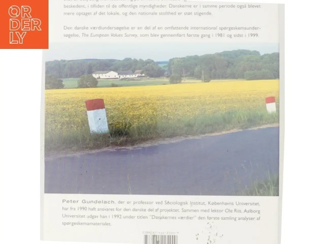 Billede 3 - Danskernes værdier 1981-1999 af Peter Gundelach (Bog)