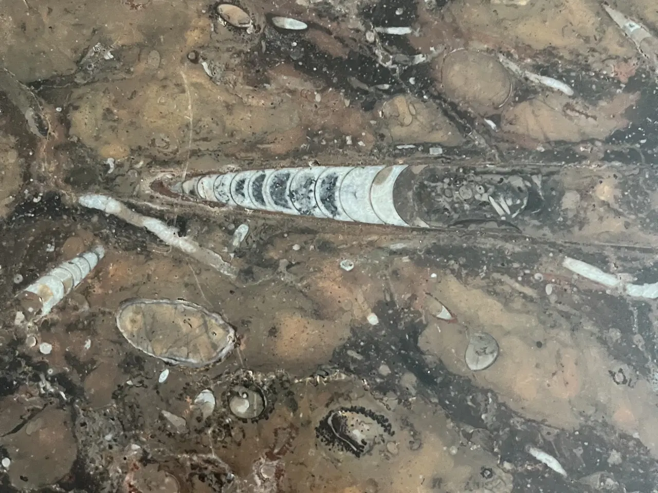 Billede 4 - Utrolig smukt og sjældent bord