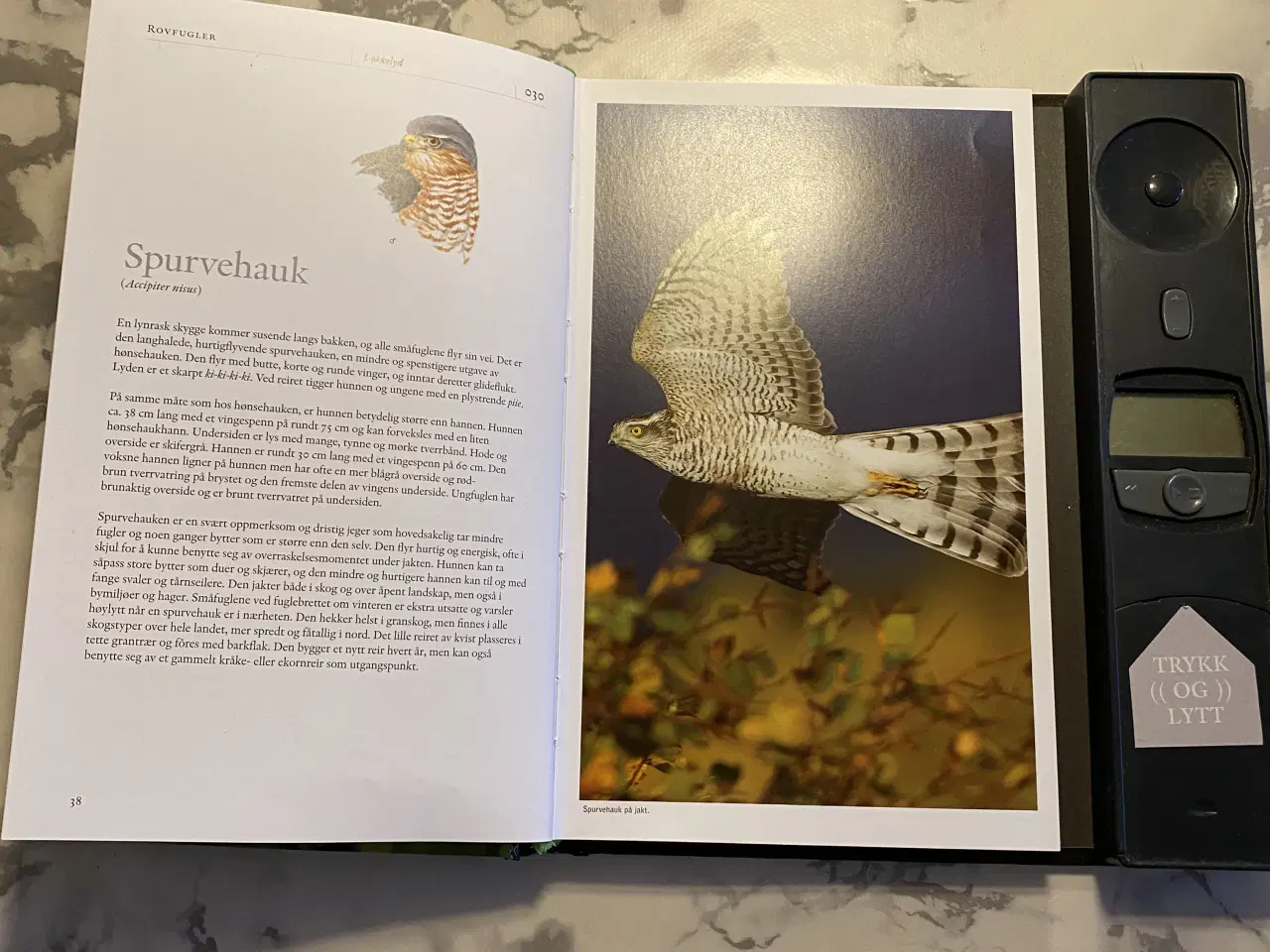 Billede 4 - Norsk fulge lydbog