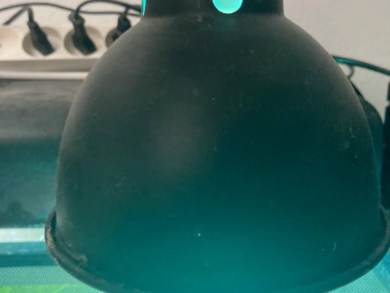 Billede 3 - Grøn Anolepar med udstyr