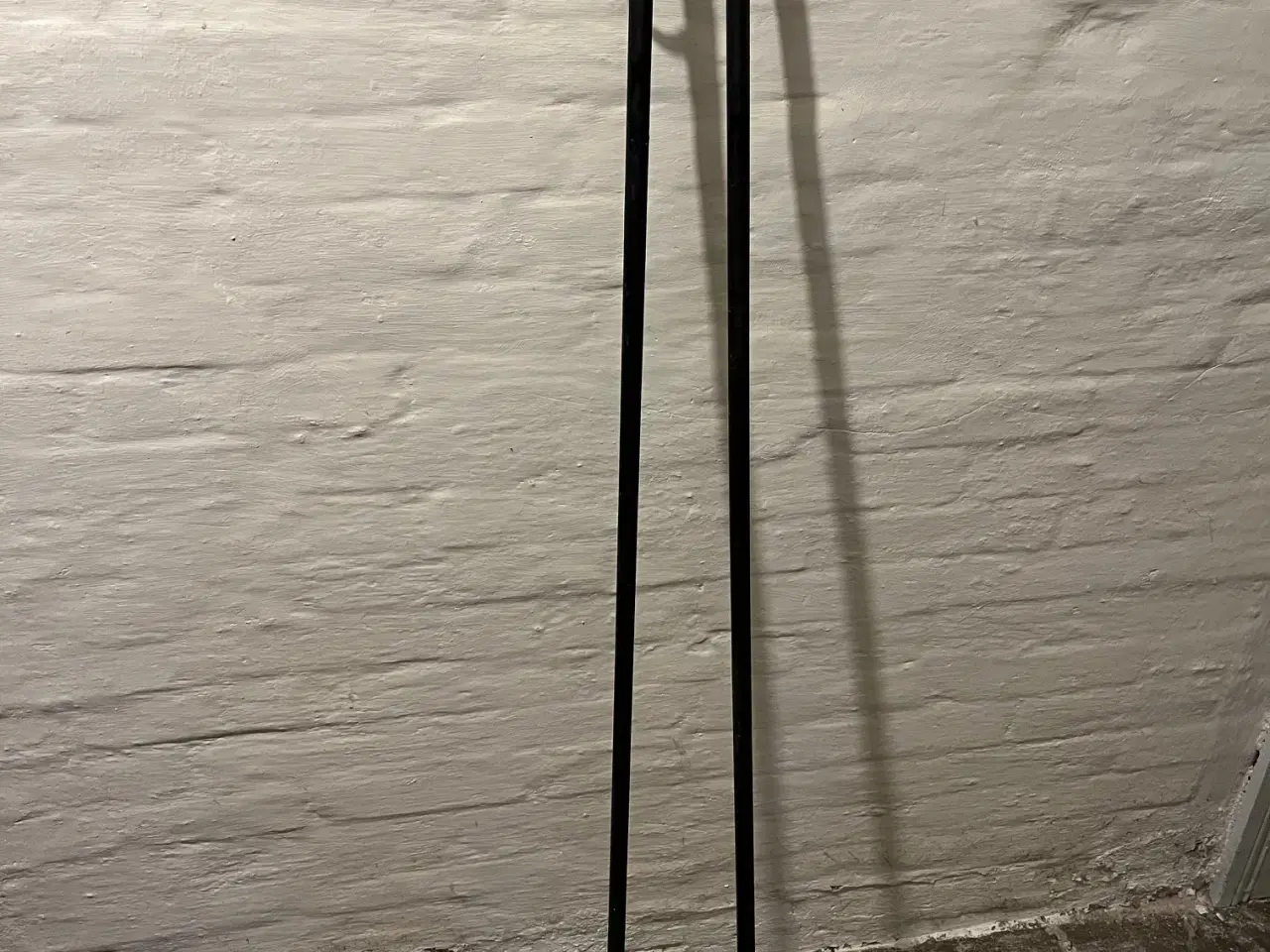 Billede 4 - Langrendsski med stave