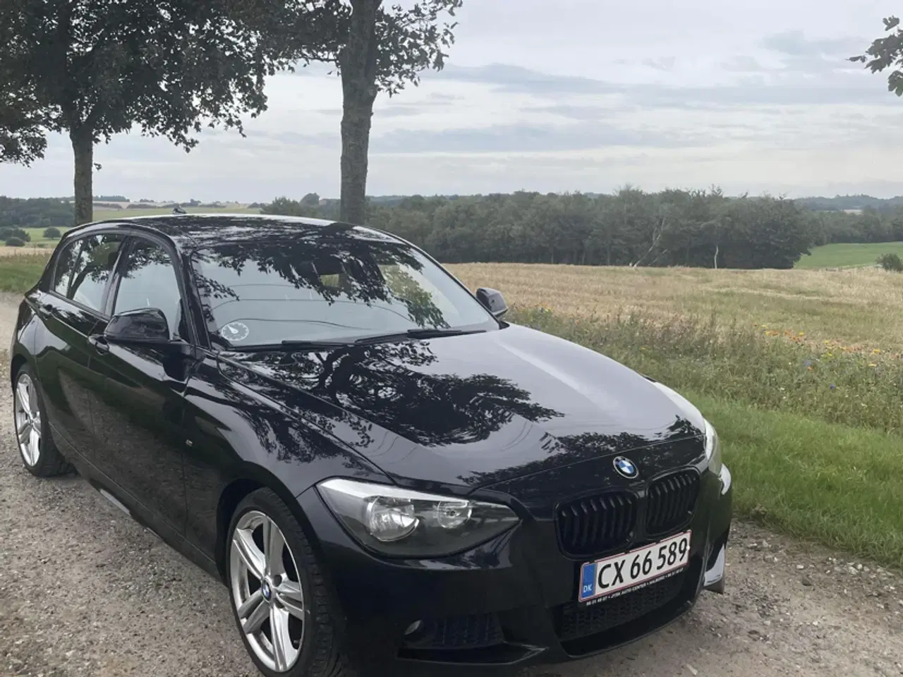 Billede 8 - BMW 116i M-Sport