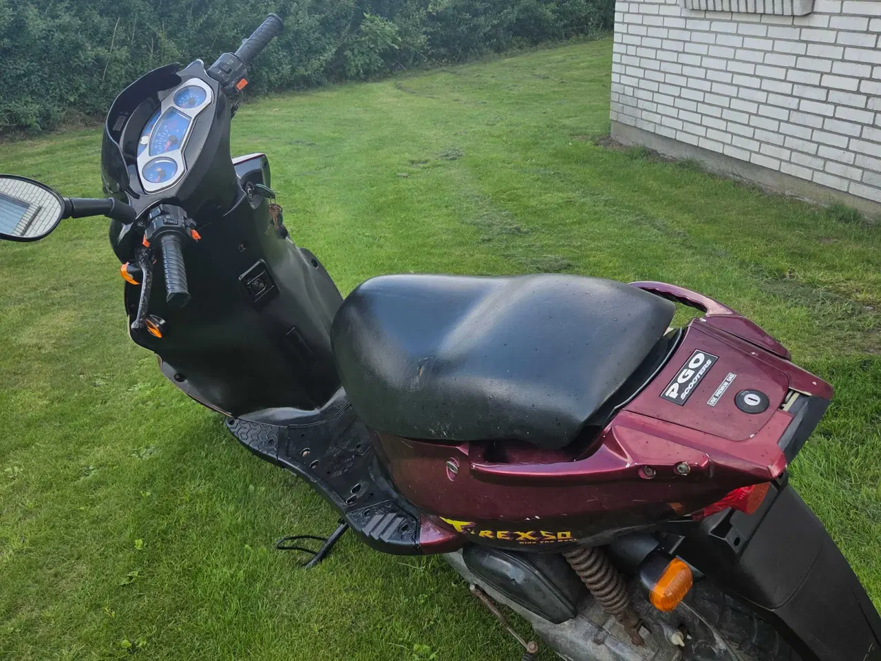 Billede 2 - PGO T REX 50