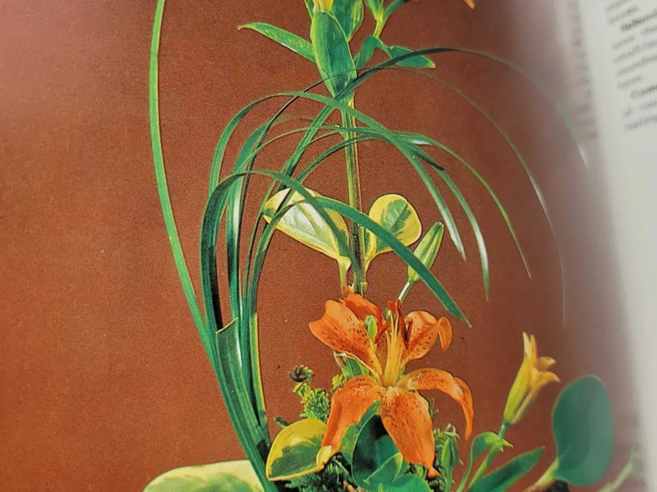 Billede 4 - Blomste bog fra Korea 