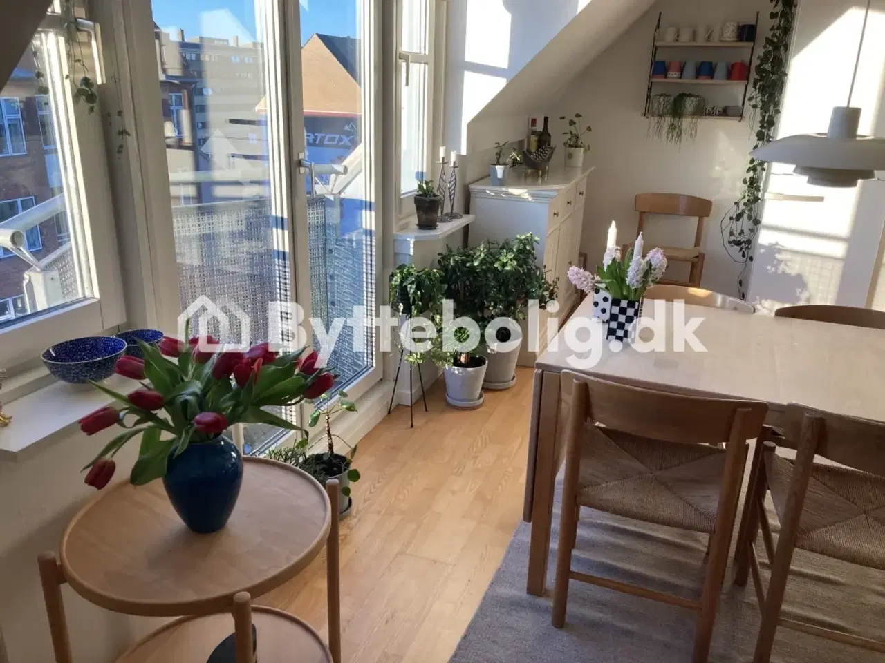 Billede 1 - Dejlig lejlighed i Frederiksberg til bytte