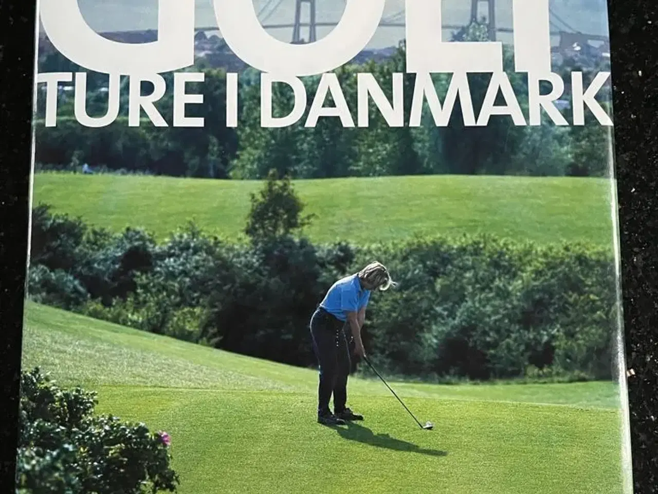 Billede 1 - Golfture i Danmark